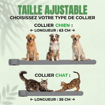 COLLIER FLORAK™ - Protection Naturelle Anti-Puces & Tiques 8 Mois